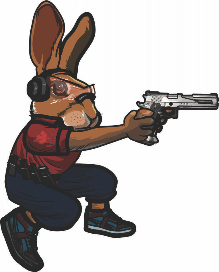 Range Rabbit Canada- Firearms Targets, Steel AR500 Rifle Gongs Canada