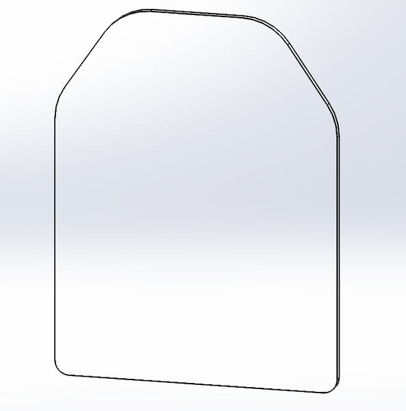 ESAPI Non-Ballistic Training Plate